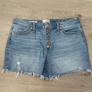 Universal Thread Light Blue Jean Shorts